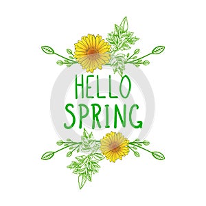 Vector Hand Drawn Hello Spring Illustration, Colorful Green Leaves and First Buds with Yellow Flowers, Colorful Graphic