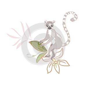 Vector hand drawn Illustration of cute funny lemur on branch on white background isolated