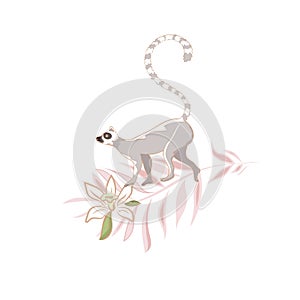 Vector hand drawn Illustration of cute funny lemur climbing on branch on white background isolated