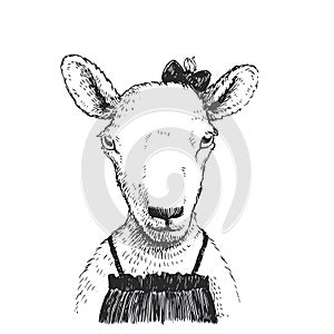 Vector hand drawn illustration with cute little sheep in dress and bow. Portrait of funny animal character in sketch style