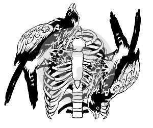 Vector hand drawn illustration of falcon and ribs. Surreal tattoo artwork