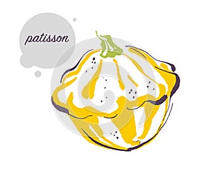 Vector hand drawn illustration of fresh raw patisson vegetable isolated on white background.