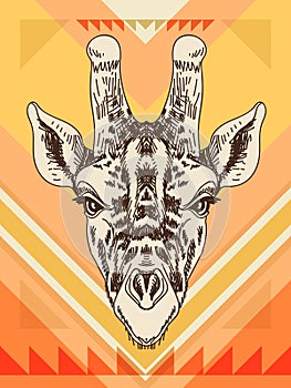 Vector hand drawn illustration with giraffe head