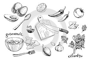 Vector hand-drawn illustration of a set of ingredients for guacamole, isolated on a white background. A recipe of guac in sketch photo