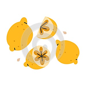 Vector hand drawn illustration of whole and cut lemons, tasry fresh citrons, crop harvest. Doodle icon in modern trendy
