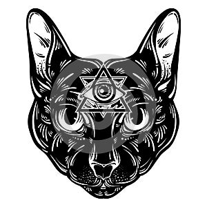 Vector hand drawn ilustration of cat. photo