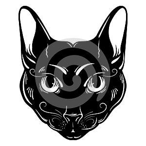 Vector hand drawn ilustration of cat. photo
