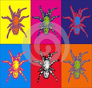 Vector hand drawn ink illustration of few multicolored spiders