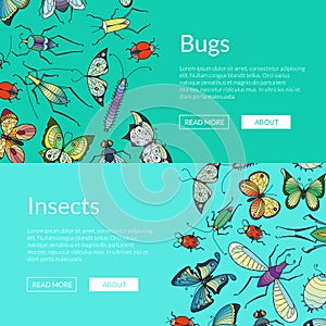 Vector hand drawn insects web banner illustration