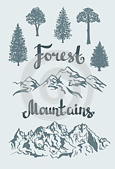 Vector Hand drawn landscape and trees.