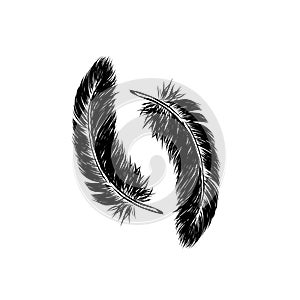 Vector hand drawn line art style feather for poster, banner, logo, icon. Fluffy feathers on transparent background in realistic