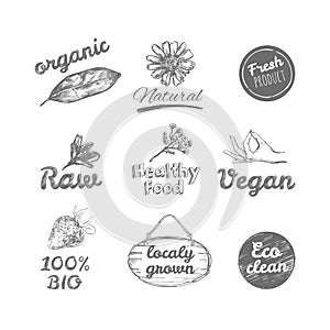 Vector hand drawn logos. Healthy eat logotypes set. Vegan, natural food and drinks signs.