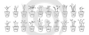 Vector hand drawn microgreens sketch set pot for decoration design. Vintage sprout drawing collection. Isolated