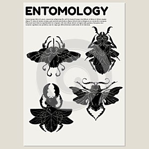 Vector hand drawn minimalistic placard