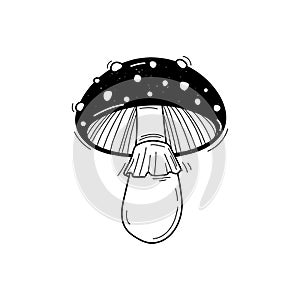 Vector hand drawn mushroom sketch isolated on white background. Amanita muscaria, fly agaric black and white