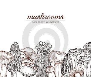 Vector hand drawn mushrooms background with place for text illustration.