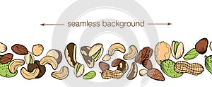 Vector hand drawn nuts banner. Endless seamless background with sketches of colored nuts. Horizontal background for blog about