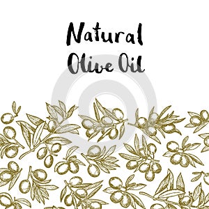 Vector hand drawn olive branches background