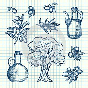 Vector hand drawn olive branches, bottles and tree on cell sheet