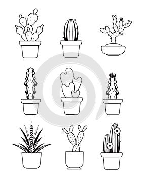 Vector hand drawn outline cactus, desert thorn tree set