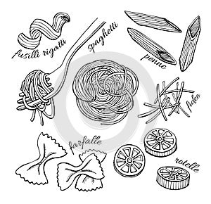 Vector hand drawn pasta set. Vintage line art illustration.