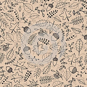 Vector hand drawn pattern with autumn elements contours