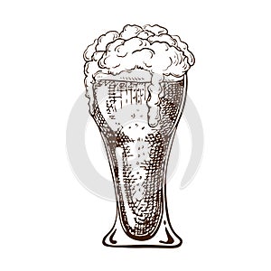 Vector hand drawn pint of beer full of wheat beer with foam. Beautiful vintage beer mug or glass with dropping froth