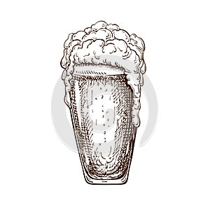 Vector hand drawn pint of beer full of wheat beer with foam. Beautiful vintage beer mug or pilsner with dropping froth