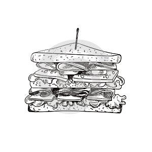 Vector Hand Drawn Sandwich with a Teethpick, Doodle Freehand Drawing, Sketched Food.