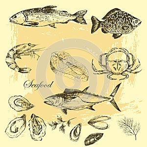 Vector hand drawn seafood set - shrimp, crab, lobster, salmon, oysters, mussel, tuna, trout, carp. mediterranean cuisine