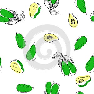 Vector hand-drawn seamless pattern with avocado isolated on white background. Texture with fruits in sketch style