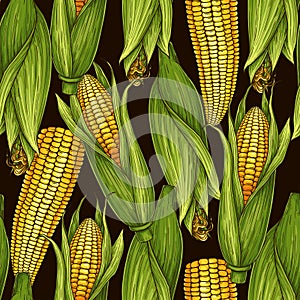 Vector hand-drawn seamless pattern with corn cobs
