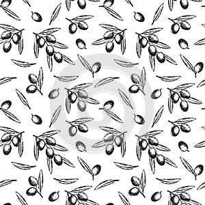 Vector hand drawn seamless pattern of olive branches