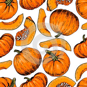 Vector hand drawn seamless pattern of pumpkins. Farm vegetables. Engraved colored art. Organic sketched object