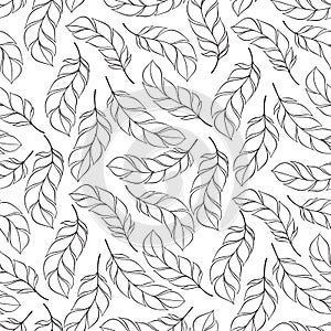 Vector hand drawn seamless patterns with feathers