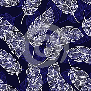 Vector hand drawn seamless patterns with feathers