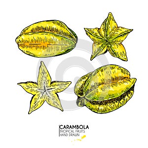 Vector hand drawn set of exotic fruits. Isolated carambola slices, and whole. Engraved colored art. Delicious tropical