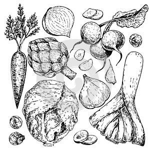 Vector hand drawn set of farm vegetables. Isolated carrot, articoke, leek, radish, cabbage, garlic. Engraved art.