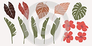 Vector hand drawn set of various silhouette branches with abstract tropical leaves. botanical element collection with Earth tone