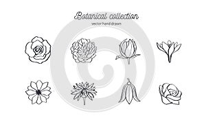 Vector hand drawn set of wild flowers. Roses, peony, anemone and other. Doodle style botanical illustration.