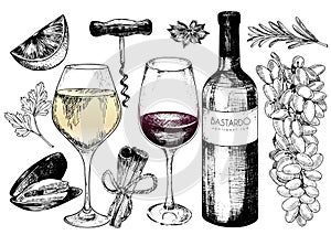 Vector hand drawn set of wine and apetizers. Grape, bottle, wineglass, rosemary, corckscrew, lime, mussel, spices.