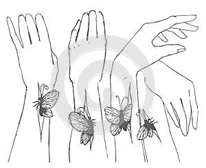 Vector Hand drawn sketch of hands with butterfly illustration