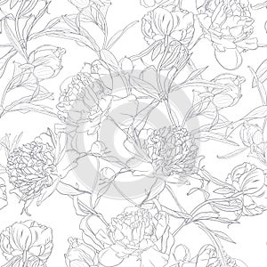 Vector hand drawn sketch illustration of white peony flowers seamless pattern.