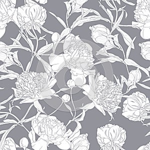 Vector hand drawn sketch illustration of white peony flowers seamless pattern