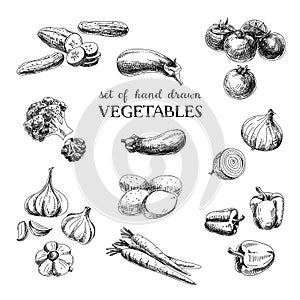 Vektor ručně malovaná skica zeleninový sada. potraviny 