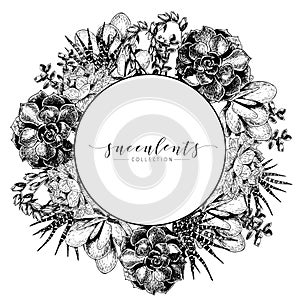 Vector hand drawn succulent wreath. Monocrome engraved vintage style art. Round bodred composition.