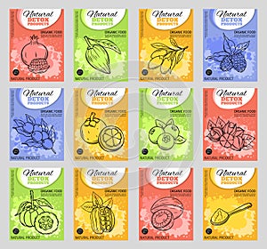 Vector hand drawn superfood posters.