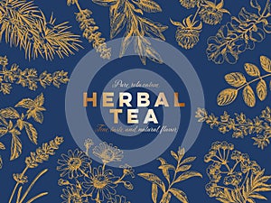 Vector hand drawn tea herb Illustration.