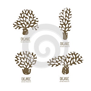 Vector hand drawn tree logo or emblem design elements.