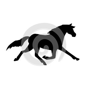 Vector hand drawn trotter horse silhouette